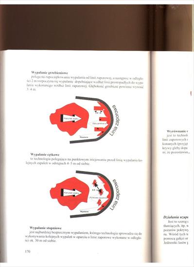 Organizacja i technologia gaszenia lasów - 166.jpg