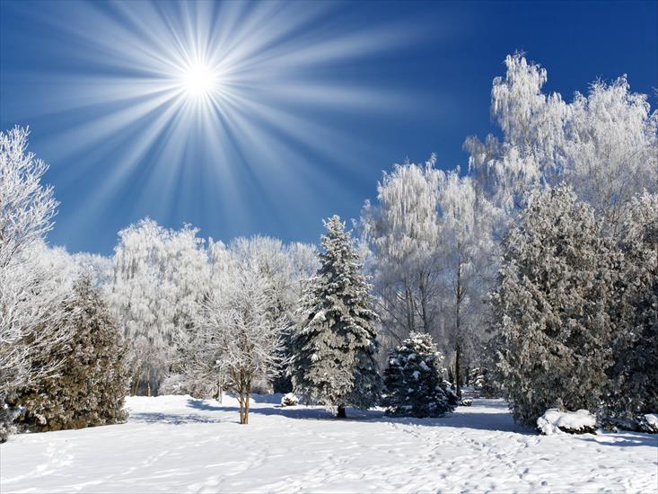 Zima - winter_sunshine_1600x1200.jpg