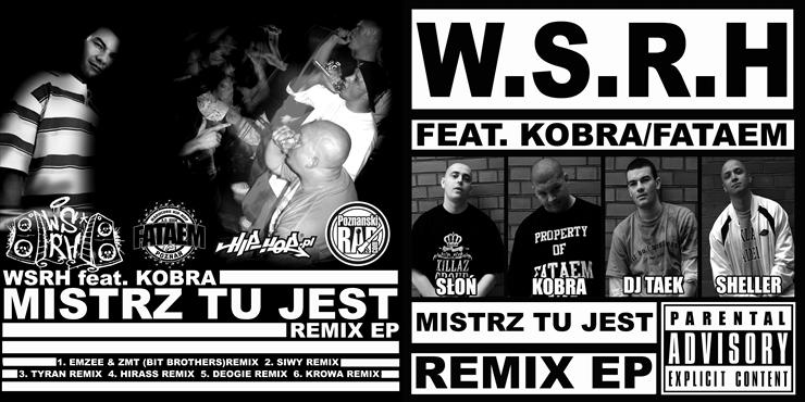 Wyższa Szkoła Robienia Hałasu - Mistrz tu jest Remix EP 2008 - Mistrz Tu Jest EP - Okladka.jpg