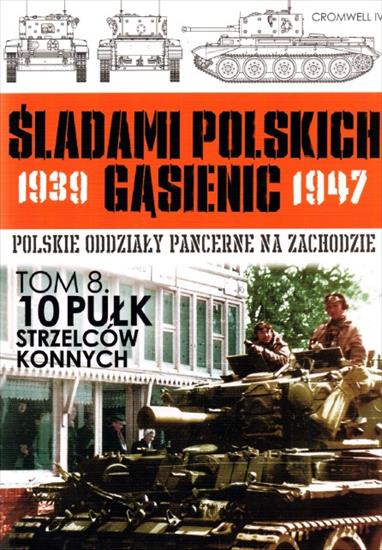 Śladami polskich gąsienic 1939-1947 - SPG 39-47 T08 - 10 Pułk Strzelców Konnych.JPG