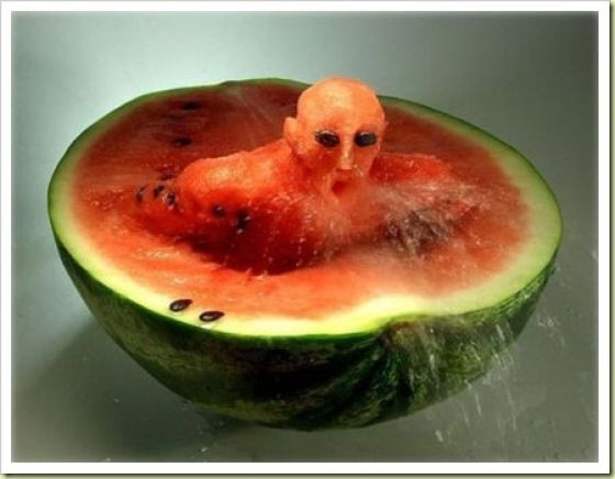 ARBUZ  - watermelon_04.jpg