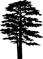 Drzewa - szablony 247.jpg