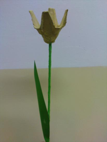 Prace wiosenne - tulipan z wytłoczki po jajkach 02.JPG