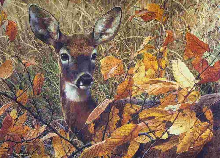 zwierzęta - Autumn Lady- Carl Brenders.jpg