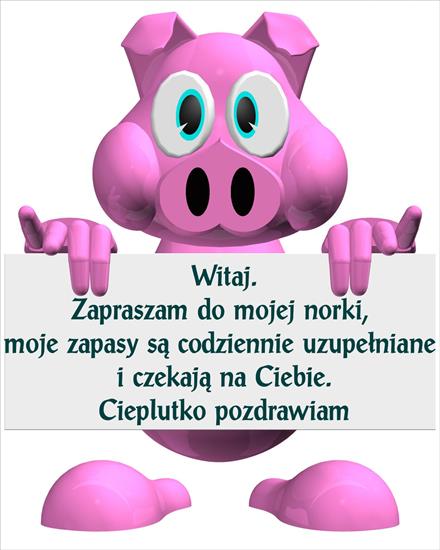 NAPISY NA CHOMIKA - zaproszenie.jpg