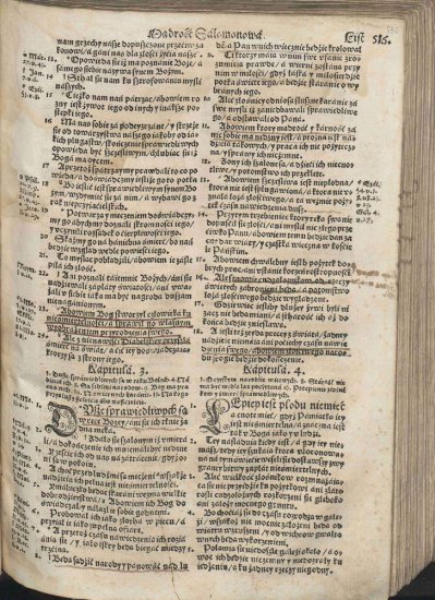 Biblia Brzeska 1563 Color 2000p JPGs - Biblia Brzeska 1062.jpg