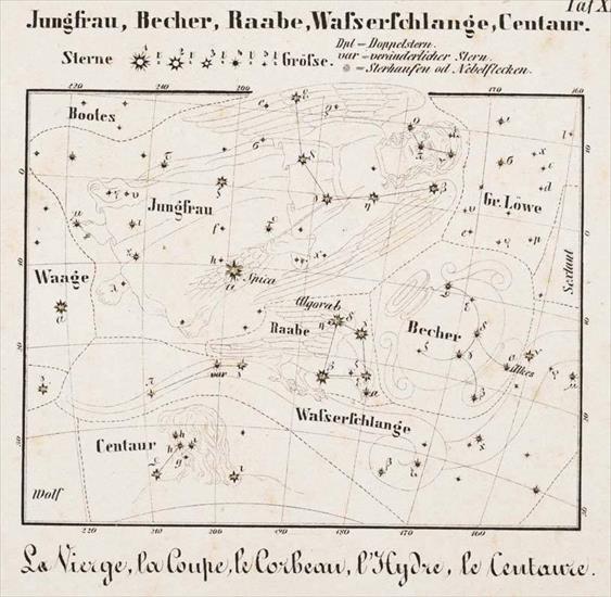 1805 Otto Molling... - Table XIV. Virgo, Crater, Corvus, Hydra, and Centaurus.JPG