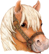 Gify-konie - zwierze kon puszcza oko25.gif