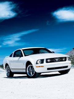 amerykany - Mustang 5.jpg