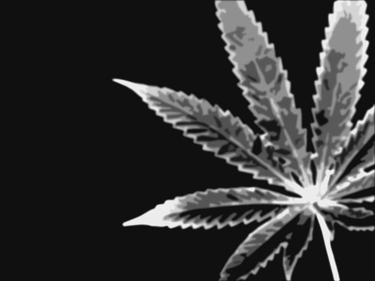 MARIHUANA - Marijuana_by_xapax.jpg