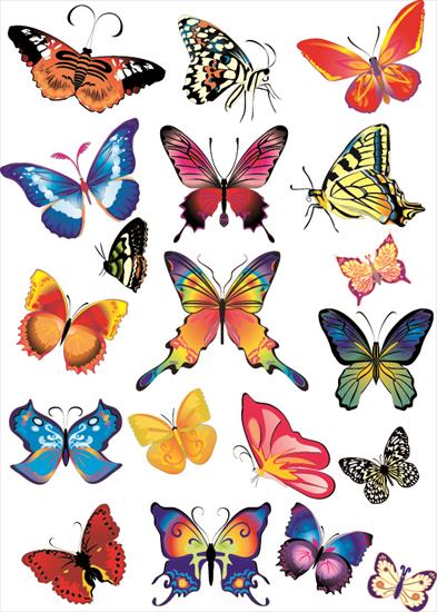 photoshop - Vector_Butterfly_000053.jpg