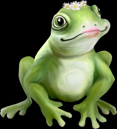 31 - NLD Frog Princess b.png