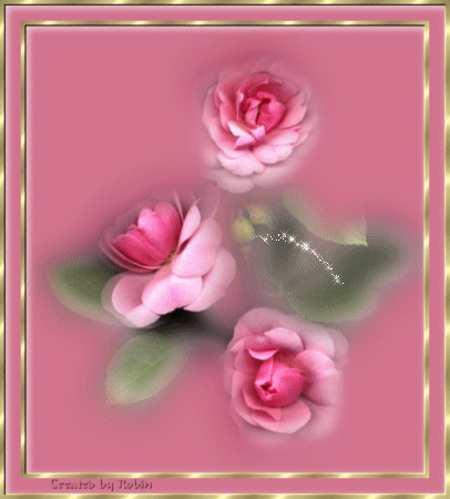  Kwiaty - rozyczki_rozowe007.gif