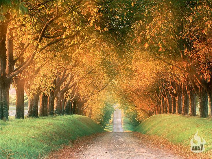 Widoki - Autumn_Road_Cognac_Region_France_1024.jpg