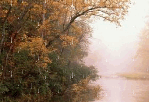 Deszczowe gify - Jesienna słota1.gif