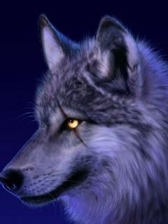 Zwierzaki - Wolf.JPG