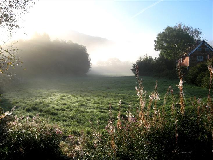 Norwegia - World_Norway_Morning_fog_in_Norway_village_007646_.jpg